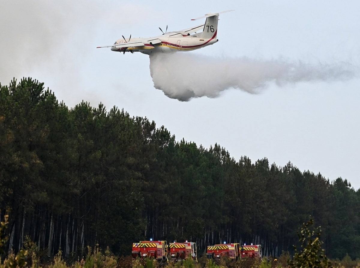 Challenges Mount for Bordeaux's Wine Industry Amid Wildfire Crisis