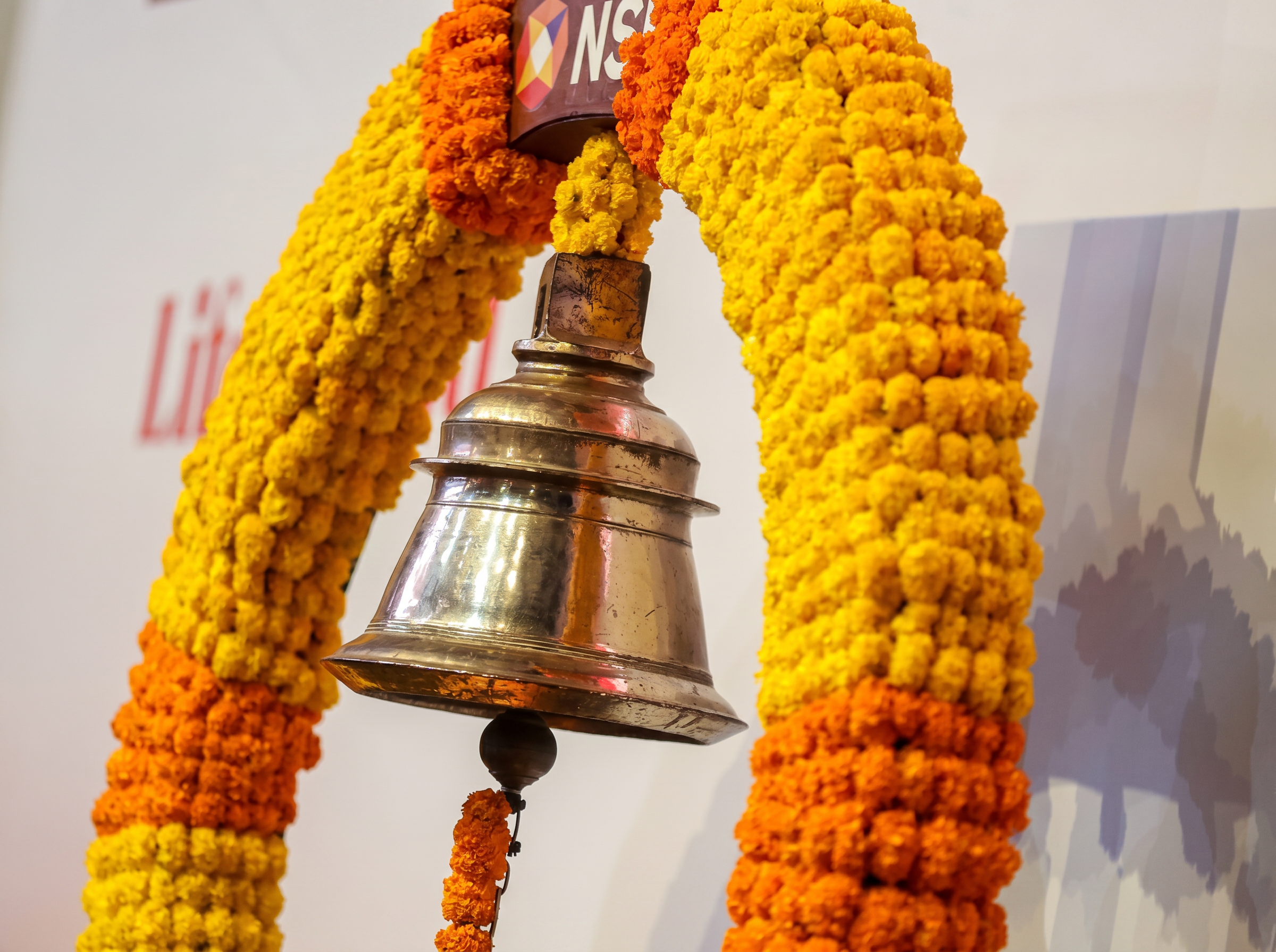 Citi Projects Record IPO Activity in India Amid Challenges