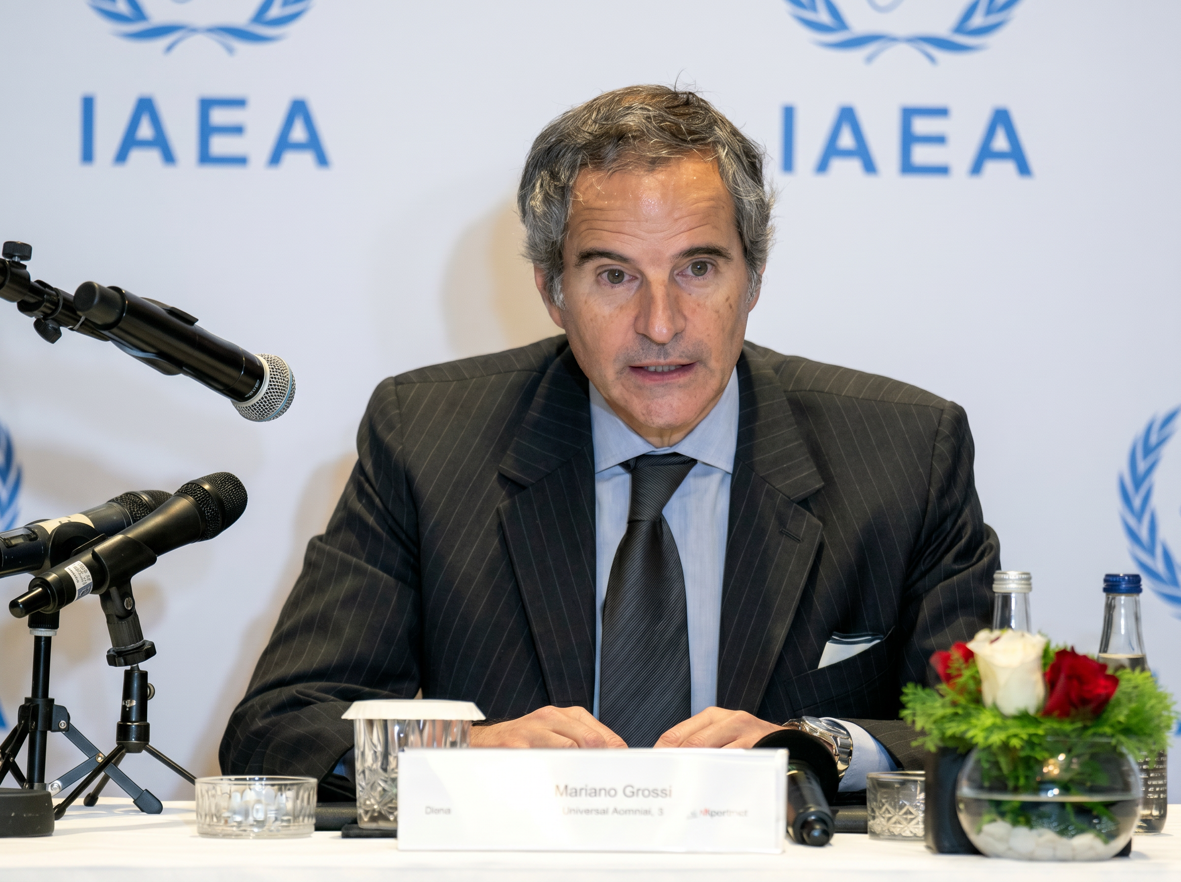 Director General of IAEA commends UAE Peaceful Nuclear Energy Programme, stresses importance of maintaining nuclear safety, security