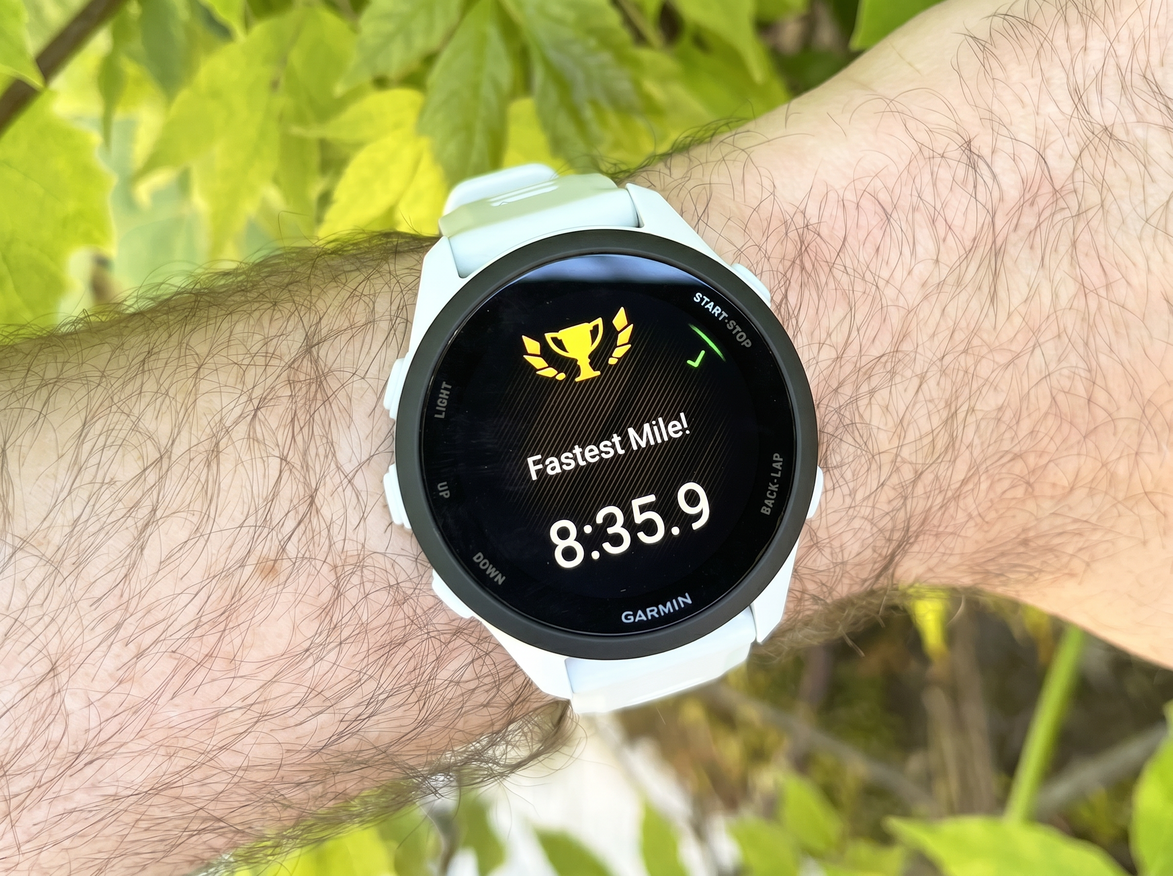 Exploring the Garmin Forerunner 70: A Game-Changer for Beginner Runners