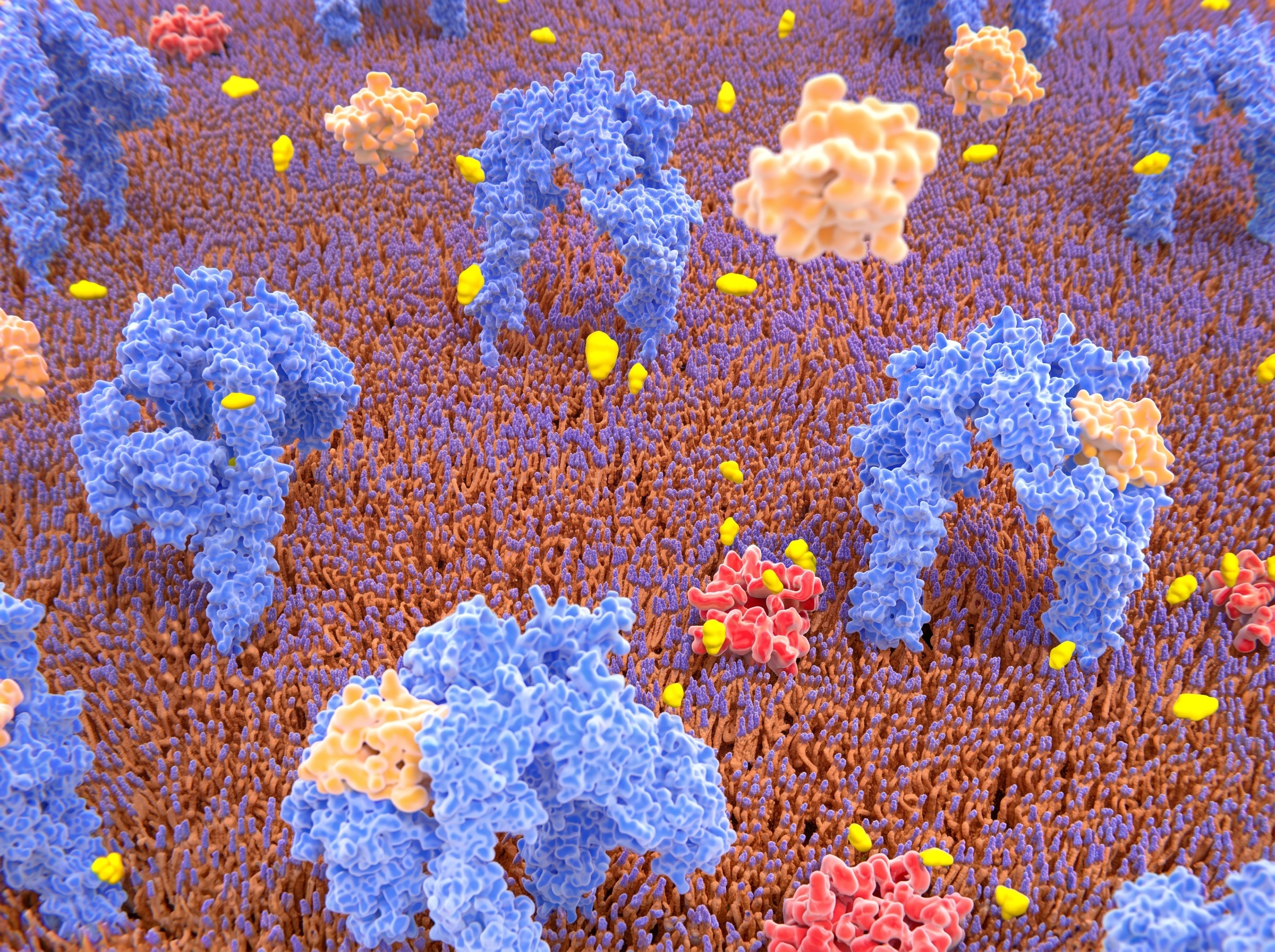 Genetic Breakthrough Paves Way for Potential Diabetes Treatment Using Pancreatic Cells