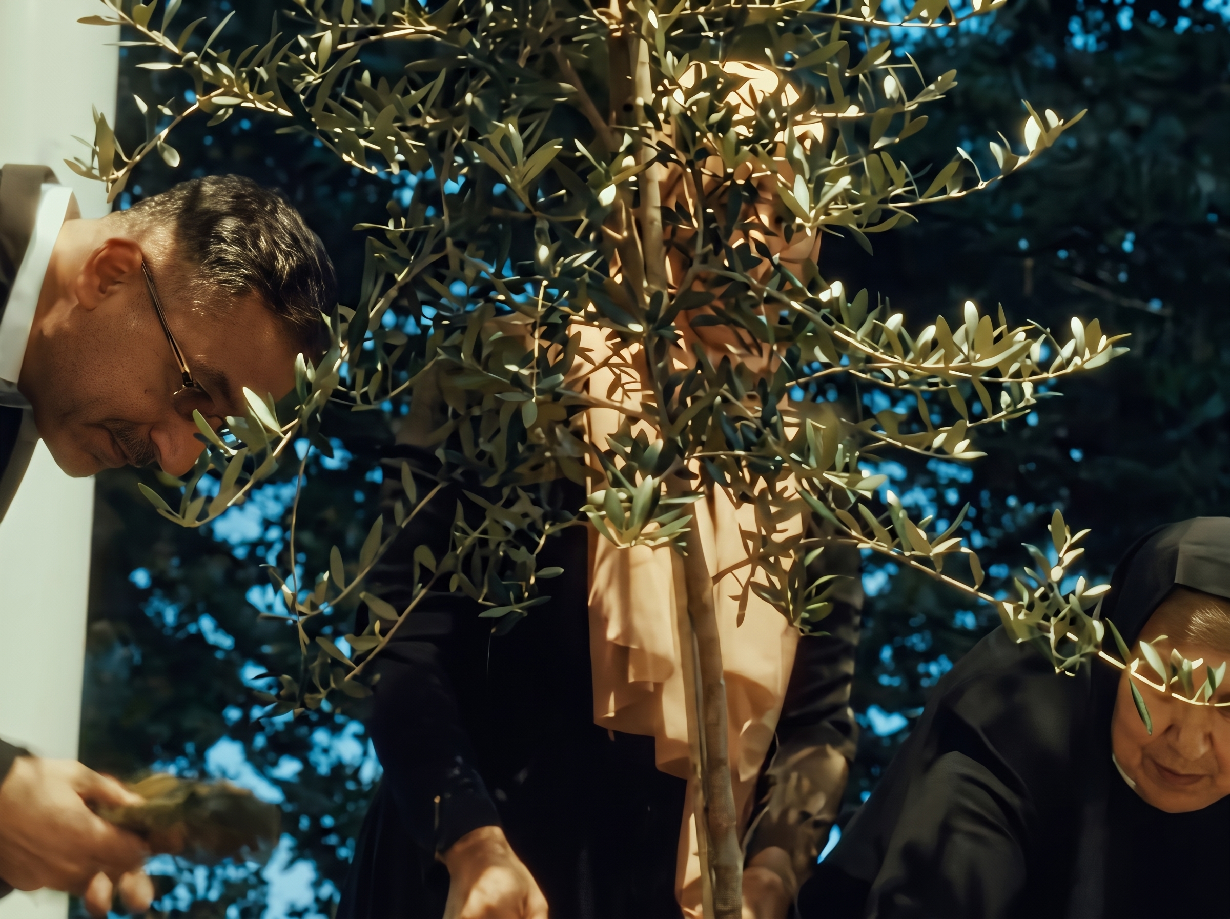 Mamdani Plants Olive Tree Alongside Gaza Families Amid Tensions