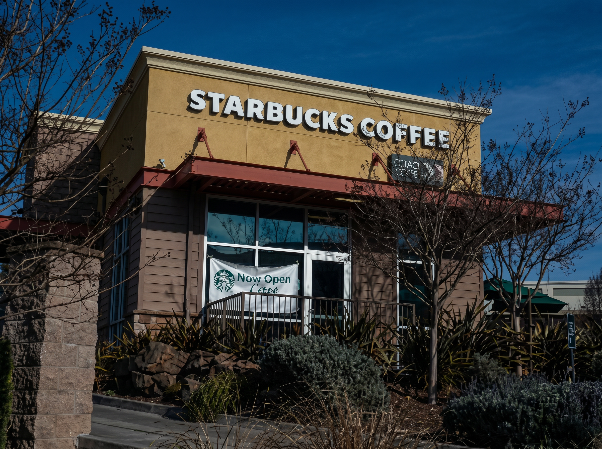 Starbucks Sees Sales Growth After $500 Million Investment in Staff and Stores
