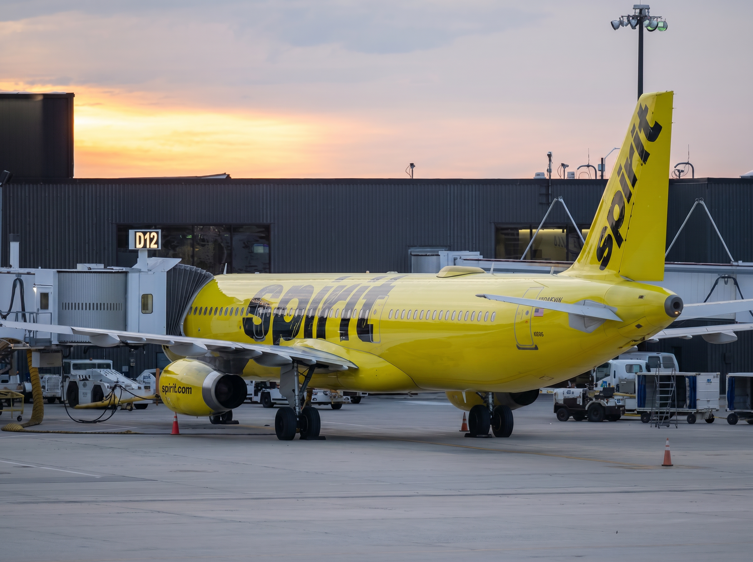 TikToker Hunter Peterson Proposes Crowdfunding Spirit Airlines Revival After Sudden Shutdown