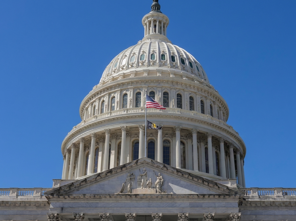 US Democrats Split on Military Aid to Israel as Midterm Elections Approach