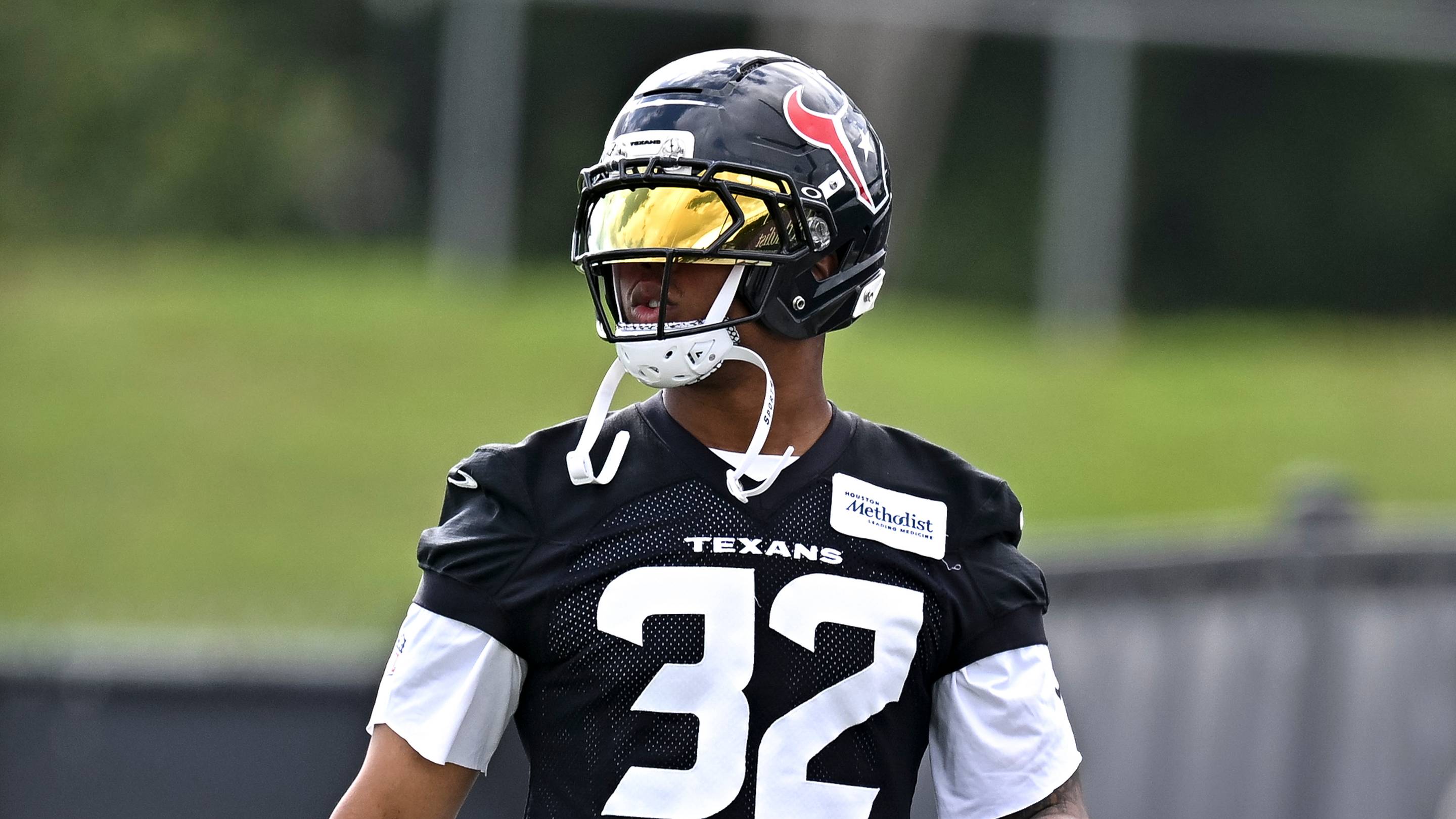 David Montgomery's Fantasy Football Value Under Scrutiny After Texans Backfield Update
