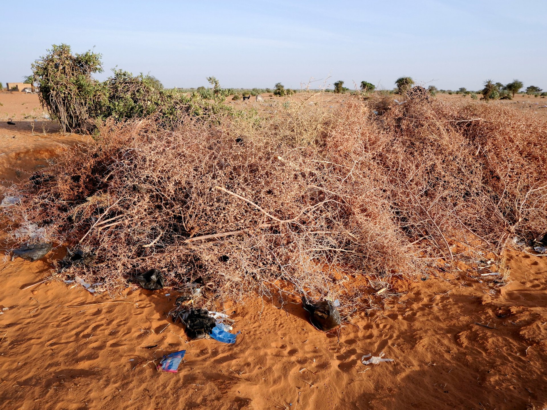 Drone Strike in Sudan's Abu Zaeima Market Claims 11 Lives
