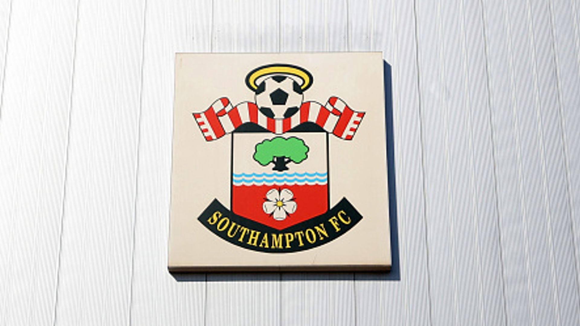 FA Launches Investigation into Southampton Amid 'Spygate' Scandal