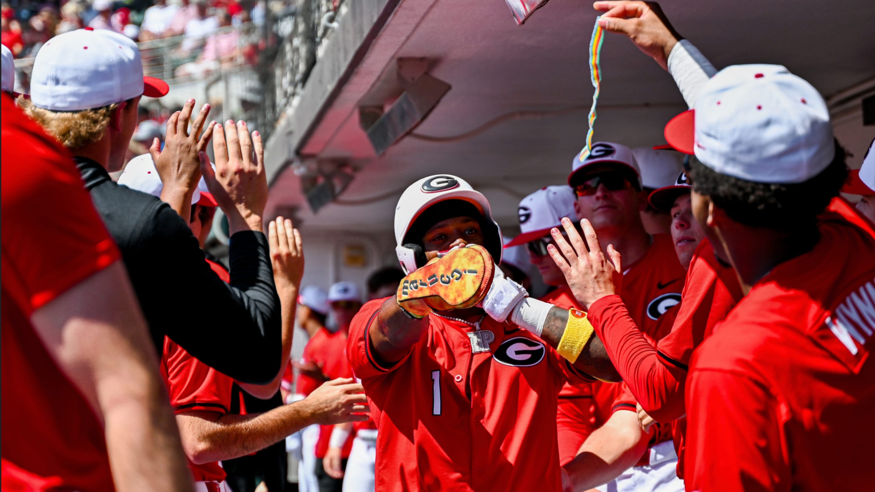 Georgia Bulldogs Capture SEC Baseball Regular Season Championship