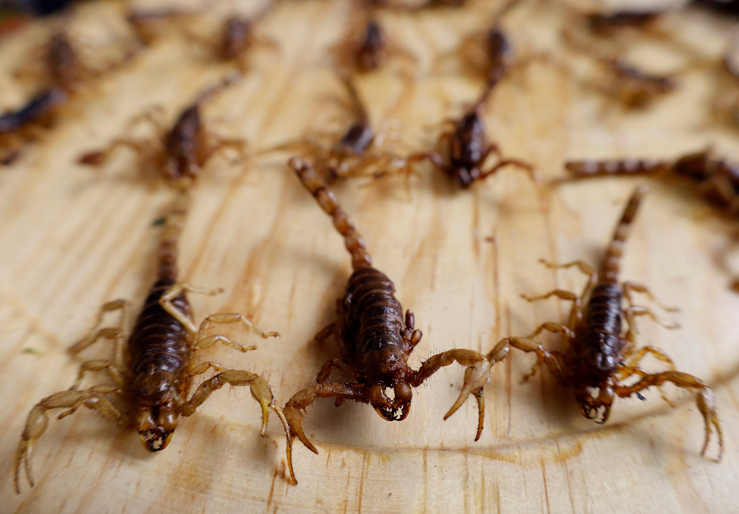 Innovation in Antibiotics: Scorpion Venom and Habanero Peppers to the Rescue