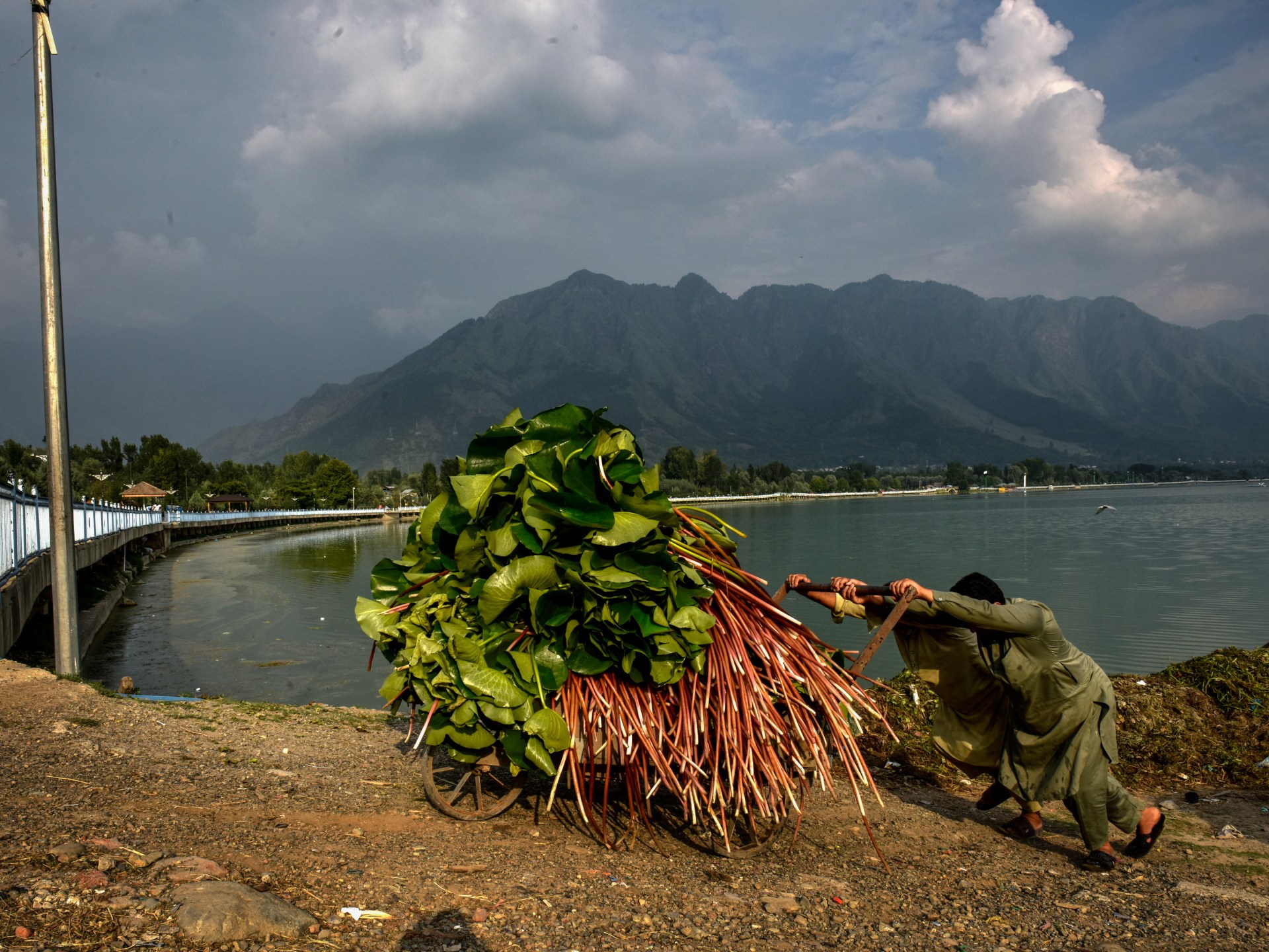 Kashmir’s Dal Lake Faces Environmental Crisis Amid Pollution and Climate Change