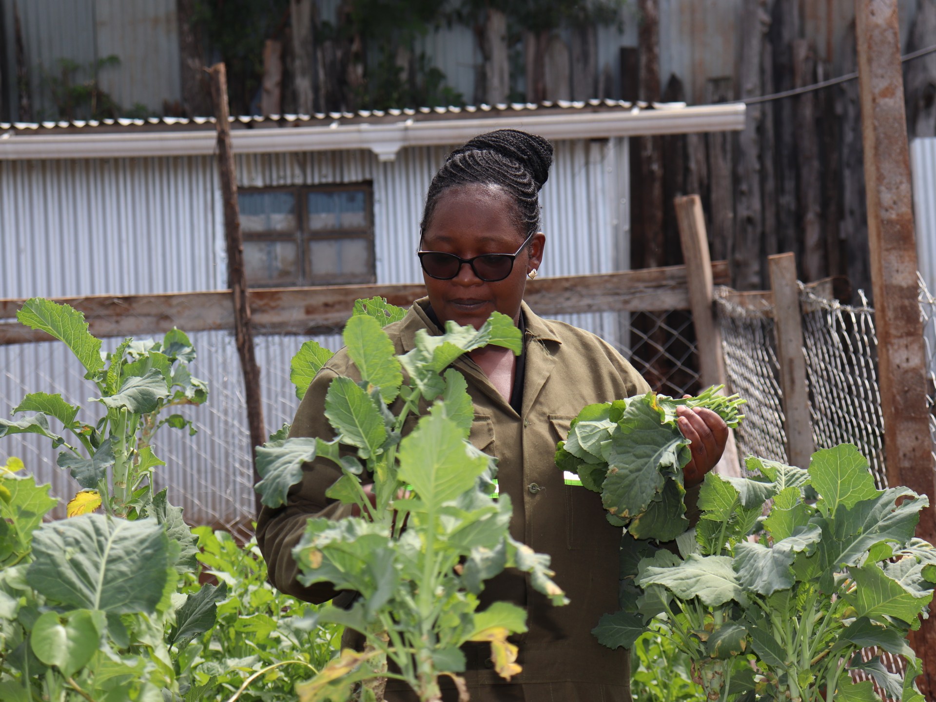 Kenyan Graduates Embrace AI in Agriculture Amid Job Scarcity
