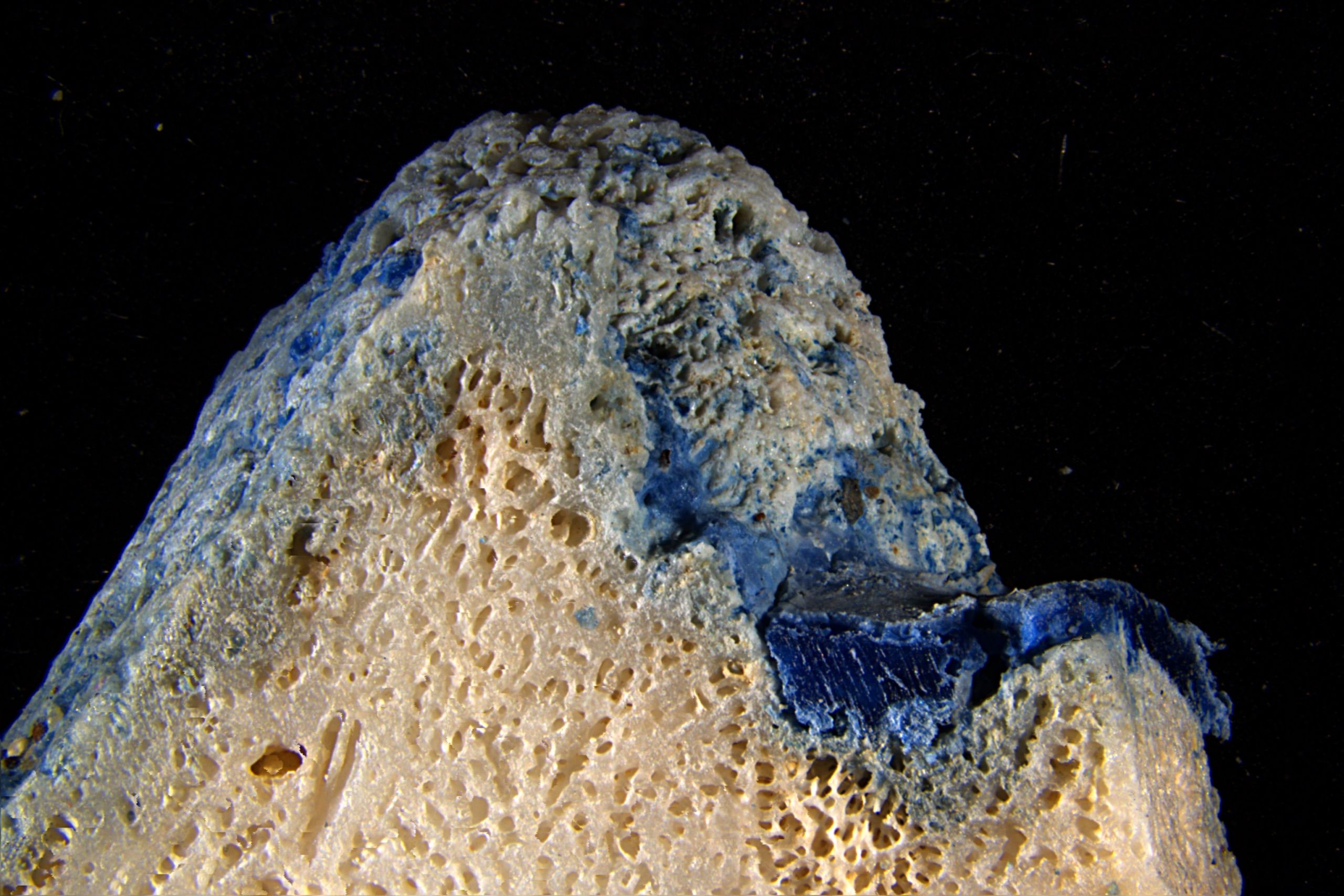 Plastic Is Melting Onto Corals in Japan's Ryukyu Islands