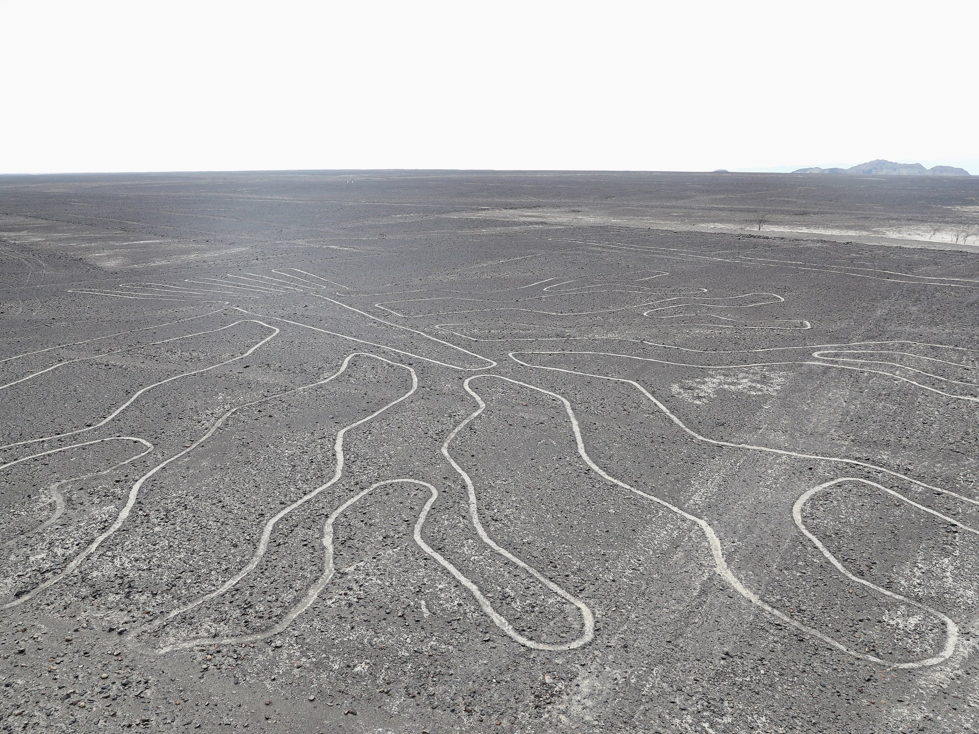 Tragic Plane Crash in Peru Claims 13 Lives During Nazca Lines Tour