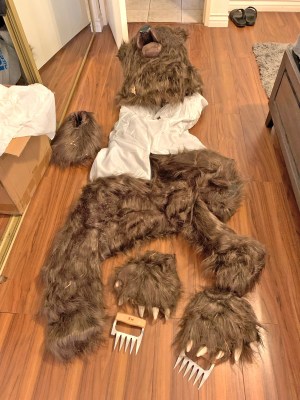 Unusual Insurance Fraud Scheme Involving Bear Suit Hits California